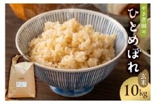 １２月発送ひとめぼれ玄米10kg【2024年産】 mi0100-0004-1-12