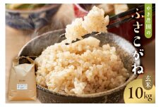 １月発送 ふさこがね玄米10kg【2024年産】 mi0100-0006-1-01