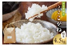 １月発送 ふさこがね精米4.5kg【2024年産】 mi0100-0007-2-01