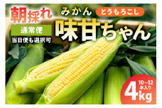 【通常便】【先行受付 2025年6月20日～8月上旬発送予定】朝採れ！とうもろこし10～12本（味甘ちゃん・みかんちゃん）【本州限定のお届け】 mi0046-0008【味甘 トウモロコシ コーン 朝採れ 新鮮】