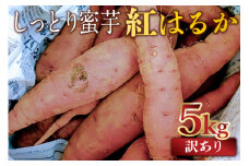 さつまいも　紅はるか 訳あり 3.5kgと補償分1.5kg合計5.0kg mi0084-0017-W5kg 【いも 焼き芋 スイートポテト 干し芋 芋けんぴ 国産】