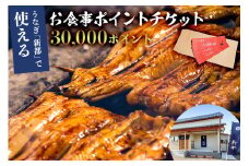 うなぎ 新都で使えるお食事ポイントチケット　30,000ポイント mi0035-0026【うなぎ 炭火 お食事 チケット 鯨 家族 友達 外食 グルメ  】