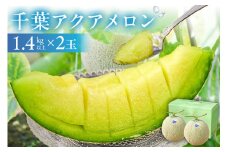 【TVで紹介！】千葉アクアメロン(マスクメロン)2玉【まとめてお届け】 mi0018-0003【メロン 青肉 ギフト 贈答 プレゼント フルーツ 果物】