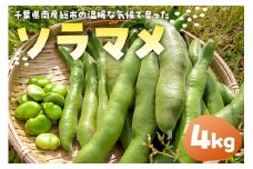 ソラマメ4kg mi0042-0006【豆 野菜 期間限定 数量限定 新鮮 旬】