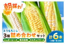 【千葉県産】朝採れとうもろこし3種詰め合わせセット（3種×各2本 計6本） mi0113-0002 【野菜 旬 食べ比べ 詰め合わせ 高糖度 生食可】