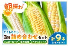 【千葉県産】朝採れとうもろこし3種詰め合わせセット（3種×各3本 計9本） mi0113-0003 【野菜 旬 食べ比べ 詰め合わせ 高糖度 生食可】