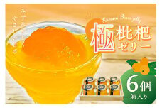 極枇杷ゼリー6個 箱入 mi0010-0017 【お菓子 ゼリー 枇杷 半実 みずみずしい 甘味 果肉 ギフト 果物 スイーツ】