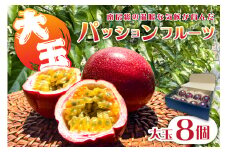 【2025年7月中旬～9月中旬発送予定】 【TVで紹介！】パッションフルーツ大玉8個 mi0116-0001 【果物 フルーツ パッションフルーツ 甘味 酸味 トロピカル ヨーグルト アイス ギフト】