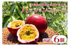 【2025年7月中旬～9月中旬発送予定】【TVで紹介！】 お試しパッションフルーツ6個 mi0116-0002 【果物 フルーツ パッションフルーツ 甘味 酸味 トロピカル ヨーグルト アイス ギフト お試し】
