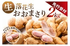 【先行受付 2025年8月下旬～9月下旬発送予定】南房総市産 生落花生おおまさり 2kg mi0117-0001【落花生 おおまさり ピーナッツ 甘み ホクホク おつまみ 晩酌 おやつ 大粒】