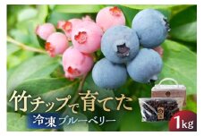 【南房総産・特別なブルーベリー】竹チップで育てた、冷凍ブルーベリー 1kg mi0089-0001 【果物 フルーツ ブルーベリー 冷凍 竹チップ アレンジ ヨーグルト ジャム ソース 】
