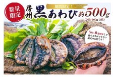 【期間限定・数量限定】房州 黒あわび 約500g (200/300g × 2枚) mi0020-0012 【あわび アワビ 特産品 肉厚 食べ応え ホイル焼き 海鮮 魚介類 限定 】