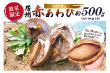 【期間限定・数量限定】房州 赤あわび 約500g (200/300g × 2枚) mi0020-0011 【 特産品 赤あわび アワビ 海鮮 貝 海の幸 限定 】