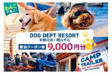 DOG DEPT RESORT 安房白浜/館山犬石 共通チケット 宿泊クーポン券（9,000円分） mi0111-0001-2【 犬と宿泊 愛犬 わんこ 愛犬旅行 ペット専用 ペット BBQ 旅行 チケット 宿泊 宿泊券 旅行券 ホテル 千葉 南房総市 】