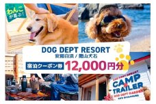 DOG DEPT RESORT 安房白浜/館山犬石 共通チケット 宿泊クーポン券（12,000円分） mi0111-0001-3【 犬と宿泊 愛犬 わんこ 愛犬旅行 ペット専用 ペット BBQ 旅行 チケット 宿泊 宿泊券 旅行券 ホテル 千葉 南房総市 】