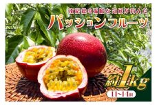 【2025年8月上旬～9月中旬発送予定】【TVで紹介！】パッションフルーツ1kg（11～14個） mi0116-0003 【果物 フルーツ パッションフルーツ 甘味 酸味 トロピカル ヨーグルト アイス ギフト お試し】