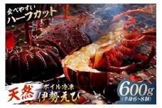 【天然】ボイル冷凍伊勢海老 ハーフカット600g（半身6～8個） mi0020-0013 【伊勢海老 ボイル ハーフカット 魚介 バーベキュー 海の幸 海鮮】