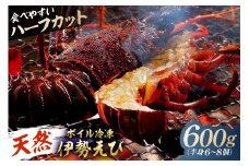 【天然】ボイル冷凍伊勢海老 ハーフカット600g（半身6～8個） mi0020-0013 【伊勢海老 ボイル ハーフカット 魚介 バーベキュー 海の幸 海鮮】