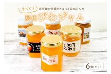 南房総の太陽をぎゅっと詰め込んだ 手づくり「房州びわジャム」6個セット mi0010-0019 【房州びわ びわジャム 手作り トースト ヨーグルト アイス 果物】