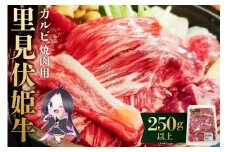里見伏姫牛　カルビ焼肉用250g以上 mi0119-0001 【肉 食品 焼肉 BBQ バーベキュー 家族 ファミリー お取り寄せ グルメ】
