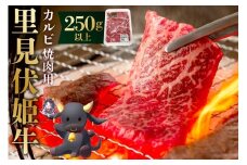 里見伏姫牛　カルビ焼肉用250g以上 mi0119-0001 【肉 食品 焼肉 BBQ バーベキュー 家族 ファミリー お取り寄せ グルメ】