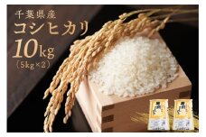 千葉県産コシヒカリ 10kg（5kg×2袋） mi0121-0001【食品 お米 精米 ごはん こしひかり おにぎり ブランド米 国産米 米】