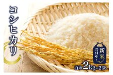 【新米】コシヒカリ白米2kg×2袋【2025年産】 mi0015-0001 おにぎり 白米 お米 ブランド米 精米
