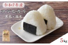 《 令和7年産 ・予約受付》黒米・塩米（コシヒカリ）約5kg ／ お米 米 精米 白米 コシヒカリ こしひかり 5kg 新米 令和7年 千葉県
