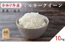 《 令和7年産 ・予約受付》黒米・塩米（ミルキークイーン）約10kg ／ 米 お米 こめ コメ 精米 白米 新米 令和7年 ミルキークイーン 10kg 産地直送