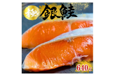 本格銀鮭甘塩切身セット 8切 640g 鮭 切り身 個包装 冷凍 さけ サケ しゃけ 銀鮭 千葉県 匝瑳市