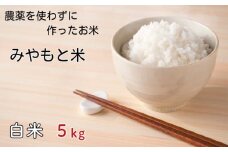 農薬を使わずに作ったお米　みやもと米（白米）　5kg ／ お米 精米 千葉県