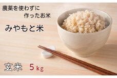 農薬を使わずに作ったお米　みやもと米（玄米）　5kg ／ お米 玄米 千葉県