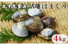 九十九里浜産 活地はまぐり 約4kg はまぐり 獲れたて 新鮮 貝 蛤 ハマグリ 千葉県 匝瑳市 九十九里浜 