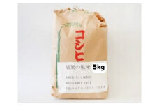 300年伝統の里　福箕の里米5kg ／ お米 精米 こしひかり コシヒカリ 千葉県