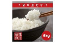 米【新品種・令和6年産】千葉県産 「 粒すけ 」 5kg 匝瑳市産 お米 こめ コメ ごはん ご飯 お米 おこめ 精米 白米 千葉県