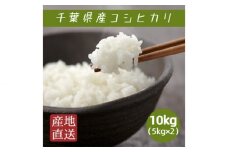 米 コシヒカリ 10kg （ 5kg×2 ） ／ 匝瑳市産 お米 こめ コメ 白米 精米 千葉県