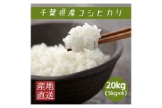 米 コシヒカリ 20kg （5kg×4袋） ／ 匝瑳市産 お米 こめ コメ 白米 精米 千葉県