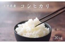 《 令和7年産 》米 コシヒカリ 20kg （5kg×4袋） ／ 米 こめ コメ お米 おこめ コシヒカリ こしひかり 令和7年 新米 白米 精米 ごはん 20kg 送料無料