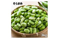 文ちゃん農園の天豆（そらまめ）約3kg ／ ソラマメ 空豆 千葉県