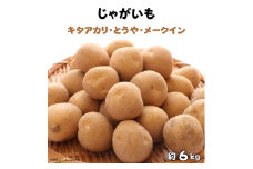 じゃがいも３種食べ比べ（キタアカリ・とうや・メークイン）計約6kg ／ じゃがいも ジャガイモ 馬鈴薯 詰合せ 千葉県