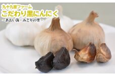九十九里ファームこだわり黒にんにく～あおい海・みどりの里～ ／ 熟成 ニンニク 甘み 千葉県