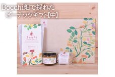 Bocchi畑で採れたピーナッツギフト【中】 ／ 落花生 ペースト なめらか 千葉県