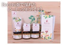 Bocchi畑で採れたピーナッツギフト【大】 ／ 落花生 ペースト なめらか 千葉県