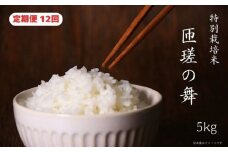 【定期便12回】 令和7年産　匝瑳の舞　精米　5kg ／ お米 米 コメ こめ ごはん ふさこがね 白米 精米 5kg チバエコ 特別栽培 新米 千葉県 匝瑳市
