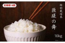【定期便9回】匝瑳の舞　精米　10kg ／ お米 白米 千葉県 特産品