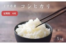 【定期便6回】千葉県産コシヒカリ5kg ／ 匝瑳市産 お米 白米 千葉県