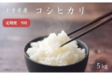 【定期便9回】千葉県産コシヒカリ5kg ／ 匝瑳市産 お米 白米 千葉県