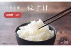 【定期便6回】【新品種・令和6年産】千葉県産粒すけ 5kg 匝瑳市産 粒すけ 米 こめ コメ ごはん ご飯 お米 おこめ 精米 白米 千葉県
