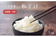 【定期便9回】【新品種・令和6年産】千葉県産粒すけ 5kg 匝瑳市産 粒すけ 米 こめ コメ ごはん ご飯 お米 おこめ 精米 白米 千葉県