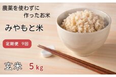 【定期便9回】農薬を使わずに作ったお米　みやもと米（玄米）　5kg